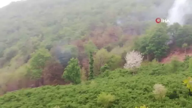 Son dakika! Ordu'da örtü yangını Son dakika! Ordu'da örtü yangını