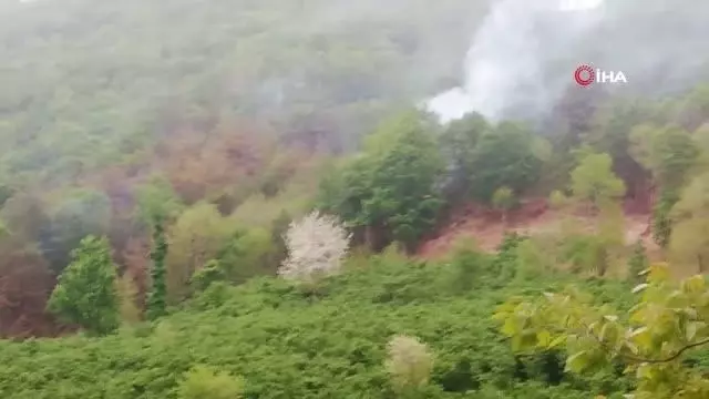 Son dakika! Ordu'da örtü yangını Son dakika! Ordu'da örtü yangını