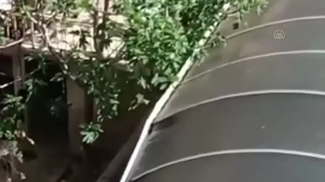 11 köpeğe şiddet uyguladığı belirlenen kadın hakkında yasal işlem başlatıldı 11 köpeğe şiddet uyguladığı belirlenen kadın hakkında yasal işlem başlatıldı