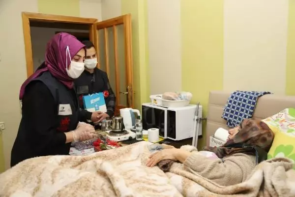 Son dakika haberi... 19 YILDIR ZİHİNSEL ENGELLİ ÜVEY OĞLUNA BAKIYOR Son dakika haberi... 19 YILDIR ZİHİNSEL ENGELLİ ÜVEY OĞLUNA BAKIYOR
