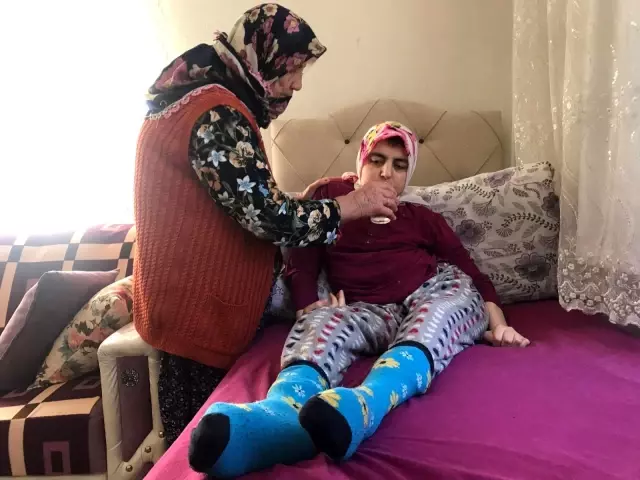 81 yaşındaki fedakar anne 43 ve 55 yaşlarındaki engelli evlatlarına gözü gibi bakıyor 81 yaşındaki fedakar anne 43 ve 55 yaşlarındaki engelli evlatlarına gözü gibi bakıyor