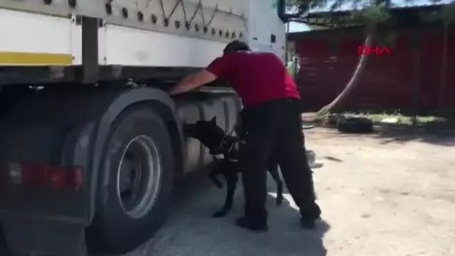 ADANA'DA BİR TIR'DA YÜKLÜ MİKTARDA KOKAİN VE BAZ MORFİN ELE GEÇİRİLDİ ADANA'DA BİR TIR'DA YÜKLÜ MİKTARDA KOKAİN VE BAZ MORFİN ELE GEÇİRİLDİ