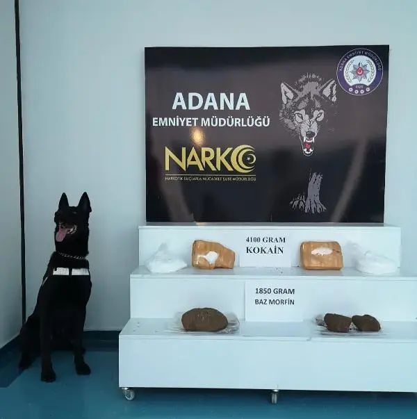 Adana'da TIR'da kokain ve baz morfin ele geçirildi: 2 tutuklama Adana'da TIR'da kokain ve baz morfin ele geçirildi: 2 tutuklama
