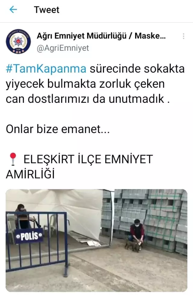 Ağrı'da polis yavru köpekleri sütle besledi Ağrı'da polis yavru köpekleri sütle besledi
