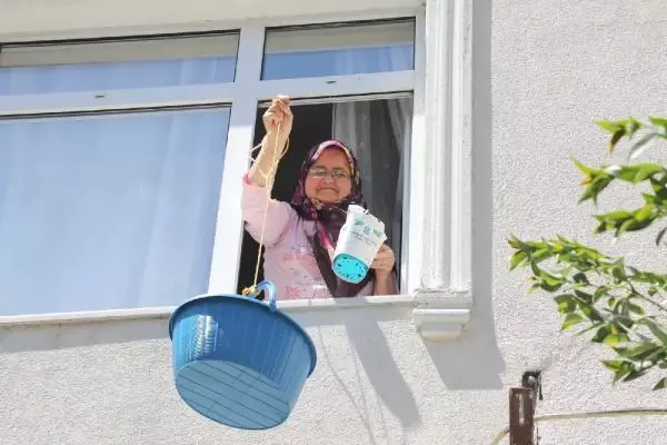 Anneler Günü çiçeklerle kutlandı Anneler Günü çiçeklerle kutlandı