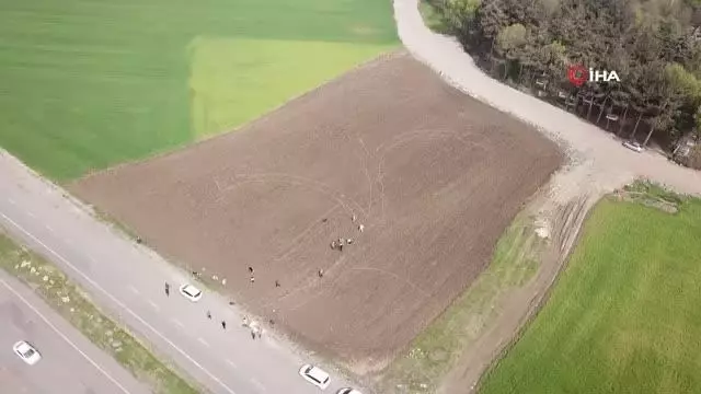 Atakum Belediyesi'nden sağlığa, turizme, ekonomiye lavanta katkısı Atakum Belediyesi'nden sağlığa, turizme, ekonomiye lavanta katkısı