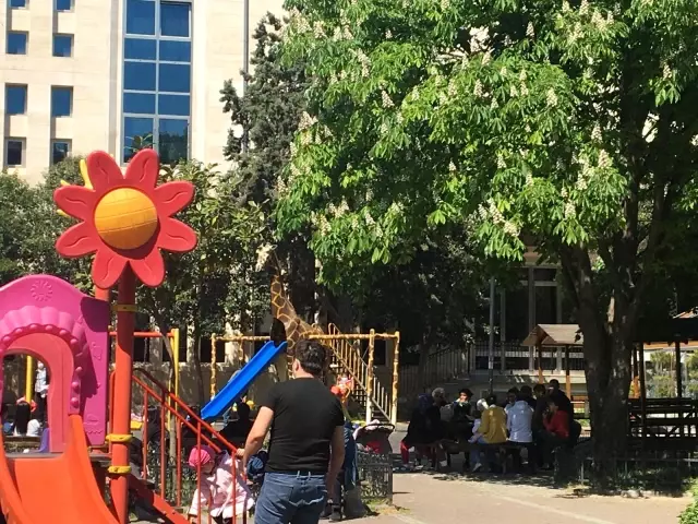 - Avcılar'da dikkat çeken yoğunluk... Caddelere ve parklara akın ettiler - Avcılar'da dikkat çeken yoğunluk... Caddelere ve parklara akın ettiler
