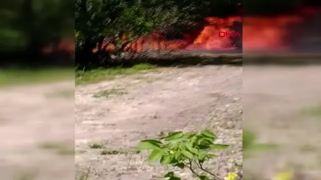 BALIKESİR DALLARI YAKARKEN ALEVLERİN SIÇRADIĞI OTOMOBİLİ YANDI BALIKESİR DALLARI YAKARKEN ALEVLERİN SIÇRADIĞI OTOMOBİLİ YANDI