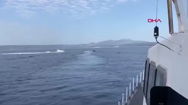 Son dakika: BALIKESİR YUNANİSTAN'IN GERİ İTTİĞİ GÖÇMENLERİN KURTARILMA ANLARI KAMERADA Son dakika: BALIKESİR YUNANİSTAN'IN GERİ İTTİĞİ GÖÇMENLERİN KURTARILMA ANLARI KAMERADA