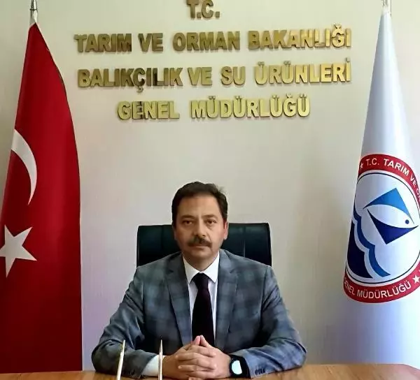 BALON BALIĞI ALIMLARI BAYRAMDAN SONRA BAŞLIYOR BALON BALIĞI ALIMLARI BAYRAMDAN SONRA BAŞLIYOR