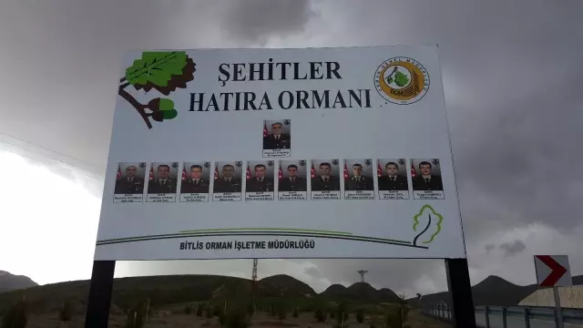 Bitlis'teki helikopter şehitleri anısına hatıra ormanı oluşturuldu Bitlis'teki helikopter şehitleri anısına hatıra ormanı oluşturuldu