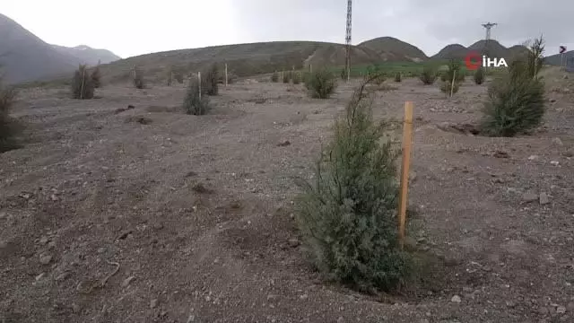 Bitlis'teki helikopter şehitleri anısına hatıra ormanı oluşturuldu Bitlis'teki helikopter şehitleri anısına hatıra ormanı oluşturuldu