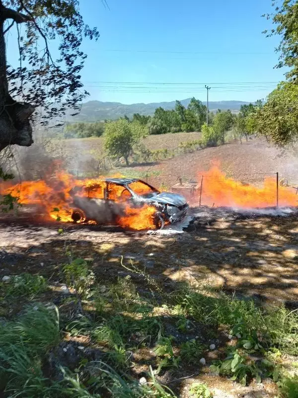 BALIKESİR DALLARI YAKARKEN ALEVLERİN SIÇRADIĞI OTOMOBİLİ YANDI BALIKESİR DALLARI YAKARKEN ALEVLERİN SIÇRADIĞI OTOMOBİLİ YANDI