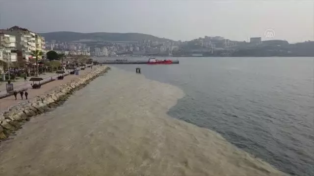 Deniz salyasını ekonomiye kazandırmanın yolları araştırılıyor Deniz salyasını ekonomiye kazandırmanın yolları araştırılıyor