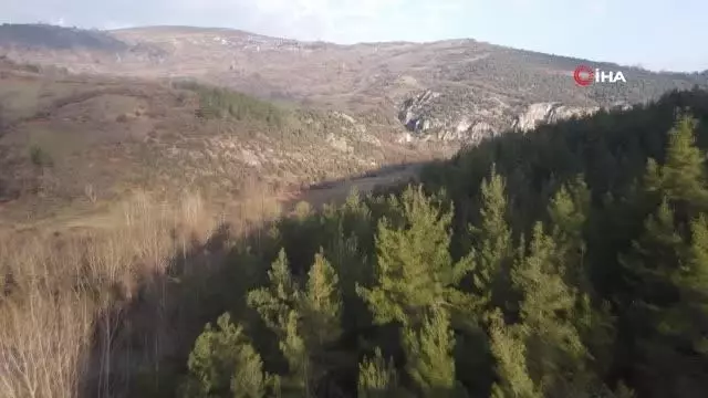 Derenin bir tarafı 40 derece diğer tarafı 5 derece akıyor Derenin bir tarafı 40 derece diğer tarafı 5 derece akıyor