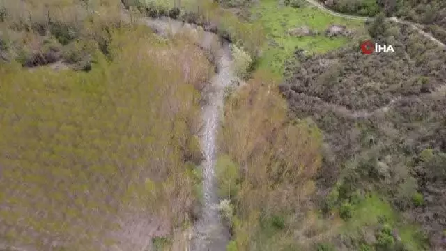 Derenin bir tarafı 40 derece diğer tarafı 5 derece akıyor Derenin bir tarafı 40 derece diğer tarafı 5 derece akıyor