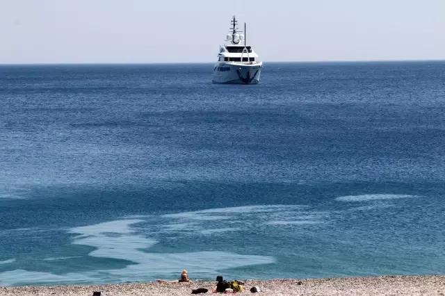 Dünyaca ünlü sahilde sokak köpeğinden turistleri şaşırtan davranış Dünyaca ünlü sahilde sokak köpeğinden turistleri şaşırtan davranış