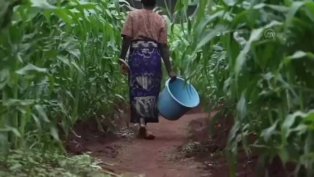 Dünyanın tüm mazlum anneleri için 'You Are The Mother' şarkısını kaleme aldı Dünyanın tüm mazlum anneleri için 'You Are The Mother' şarkısını kaleme aldı