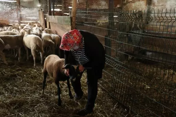 EŞİNİ KAYBEDEN ANNE, ÇOBANLIK YAPARAK KIZINI OKUTUYOR