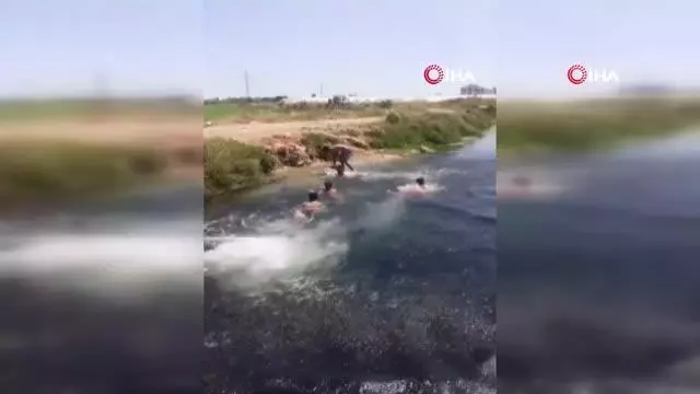 - Fenomen olmak isteyen çocukların tehlikeli serinliği kamerada - Fenomen olmak isteyen çocukların tehlikeli serinliği kamerada