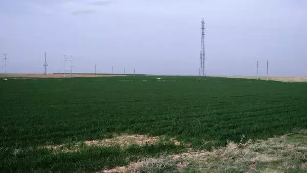 KONYA HUBUBAT HASADINDA ALARM BİÇERDÖVERLER TARLALARA GİRMEYEBİLİR KONYA HUBUBAT HASADINDA ALARM BİÇERDÖVERLER TARLALARA GİRMEYEBİLİR