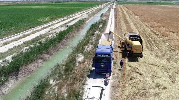 KONYA HUBUBAT HASADINDA ALARM BİÇERDÖVERLER TARLALARA GİRMEYEBİLİR KONYA HUBUBAT HASADINDA ALARM BİÇERDÖVERLER TARLALARA GİRMEYEBİLİR