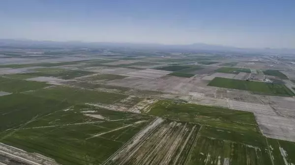 KONYA HUBUBAT HASADINDA ALARM BİÇERDÖVERLER TARLALARA GİRMEYEBİLİR KONYA HUBUBAT HASADINDA ALARM BİÇERDÖVERLER TARLALARA GİRMEYEBİLİR