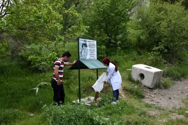 İskilip Belediyesi sokak hayvanlarını unutmadı İskilip Belediyesi sokak hayvanlarını unutmadı