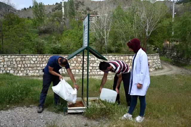 İskilip Belediyesi sokak hayvanlarını unutmadı İskilip Belediyesi sokak hayvanlarını unutmadı