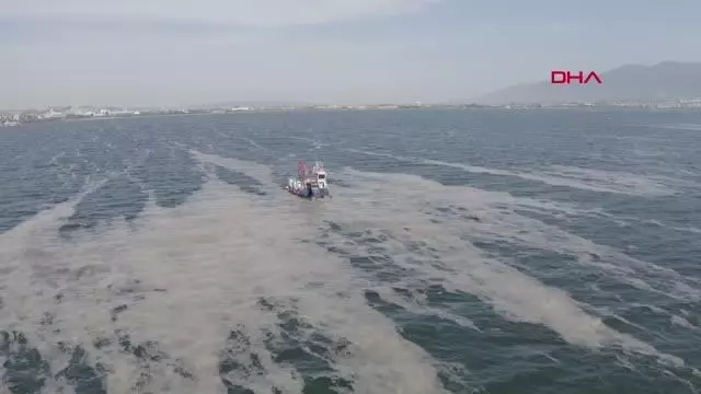 İzmit Körfezi'nden 100 ton deniz salyası toplandı İzmit Körfezi'nden 100 ton deniz salyası toplandı