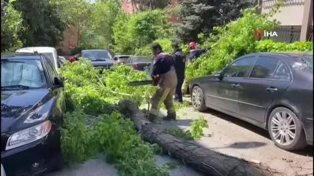 Kadıköy'de otomobillerin üzerine ağaç devrildi Kadıköy'de otomobillerin üzerine ağaç devrildi