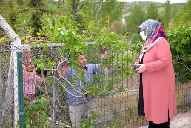 Son dakika haber... Kahramankazan'da Anneler Günü ve Dünya Çölyak Günü ziyaretleri Son dakika haber... Kahramankazan'da Anneler Günü ve Dünya Çölyak Günü ziyaretleri