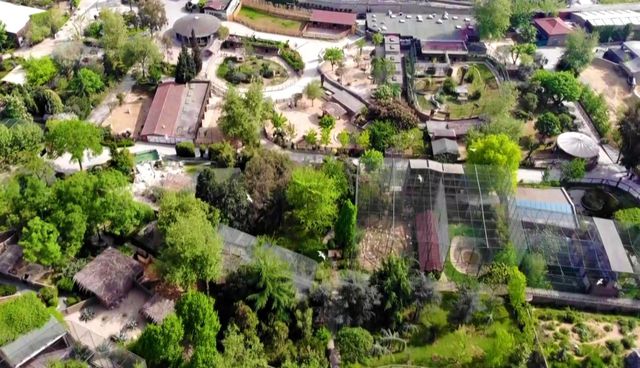 kapanmayi firsat bilip park icerisinde ozgurc 10 14121054 o
