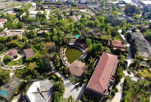 kapanmayi firsat bilip park icerisinde ozgurc 5 14121054 o