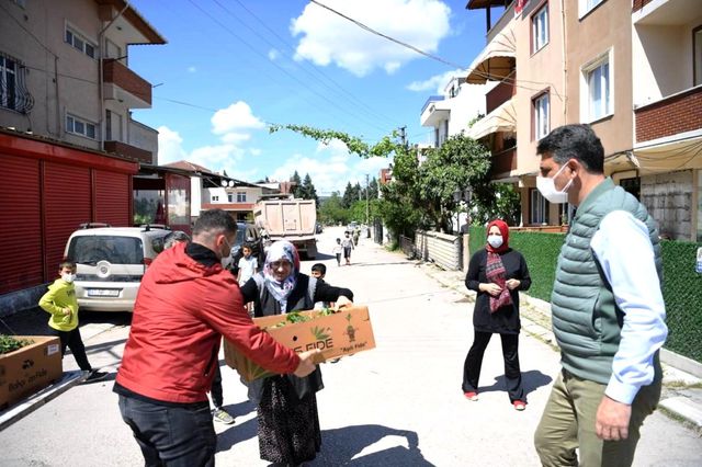 kartepeliler e 51 bin adet fide dagitildi 2 14121857 o