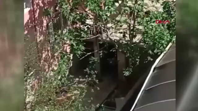 Son dakika haberleri | KONYA KÖPEKLERİNE EZİYET EDEN KADIN GÖZALTINA ALINDI Son dakika haberleri | KONYA KÖPEKLERİNE EZİYET EDEN KADIN GÖZALTINA ALINDI