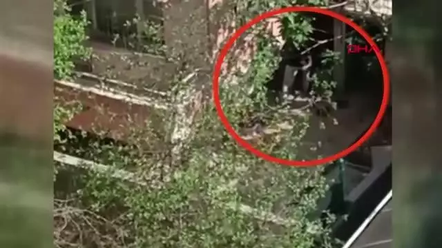 Son dakika haberleri | KONYA KÖPEKLERİNE EZİYET EDEN KADIN GÖZALTINA ALINDI Son dakika haberleri | KONYA KÖPEKLERİNE EZİYET EDEN KADIN GÖZALTINA ALINDI