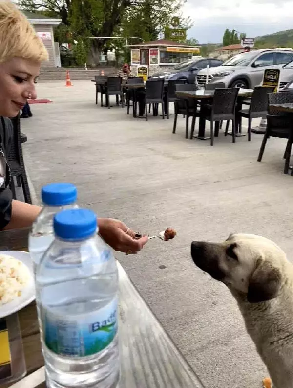 KÖPEĞE KAŞIKLA YEMEK YEDİRDİ, TARTIŞMA KONUSU OLDU KÖPEĞE KAŞIKLA YEMEK YEDİRDİ, TARTIŞMA KONUSU OLDU