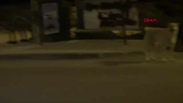 Son dakika haberi! MALATYA BAŞIBOŞ KÖPEKLER 12 KOYUNU ÖLDÜRDÜ 2'SİNİ YARALADI Son dakika haberi! MALATYA BAŞIBOŞ KÖPEKLER 12 KOYUNU ÖLDÜRDÜ 2'SİNİ YARALADI