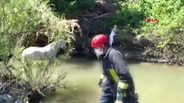 MANİSA ÇAY YATAĞINA BAĞLANIP TERK EDİLEN 2 ATI İTFAİYE KURTARDI MANİSA ÇAY YATAĞINA BAĞLANIP TERK EDİLEN 2 ATI İTFAİYE KURTARDI