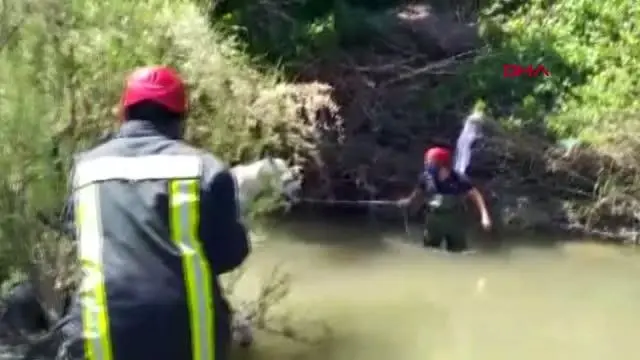 MANİSA ÇAY YATAĞINA BAĞLANIP TERK EDİLEN 2 ATI İTFAİYE KURTARDI MANİSA ÇAY YATAĞINA BAĞLANIP TERK EDİLEN 2 ATI İTFAİYE KURTARDI