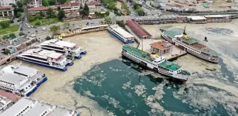Marmara'da deniz salyası tehlikesi sürüyor: 15 senedir böyle bir durumla karşılaşmadım Marmara'da deniz salyası tehlikesi sürüyor: 15 senedir böyle bir durumla karşılaşmadım