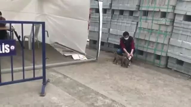 Son dakika: Polis memuru kontrol noktasına gelen yavru köpekleri sütle besledi Son dakika: Polis memuru kontrol noktasına gelen yavru köpekleri sütle besledi