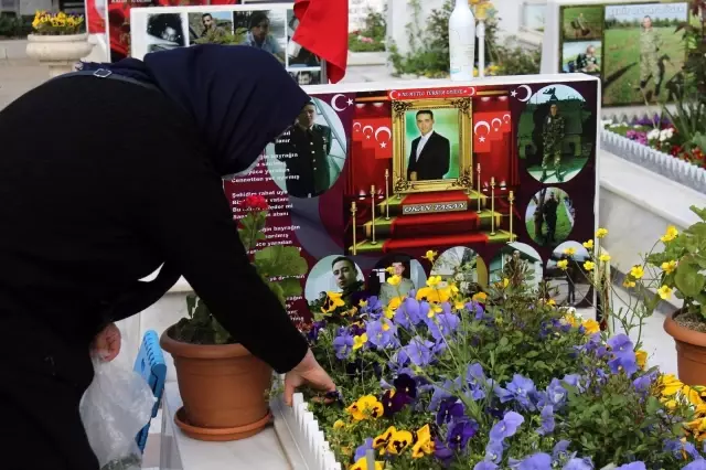 Son dakika... Şehit anneleri Anneler Günü'nü evlatlarının mezarı başında geçirdi Son dakika... Şehit anneleri Anneler Günü'nü evlatlarının mezarı başında geçirdi