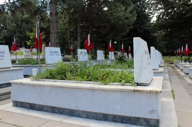 Son dakika... Şehit anneleri Anneler Günü'nü evlatlarının mezarı başında geçirdi Son dakika... Şehit anneleri Anneler Günü'nü evlatlarının mezarı başında geçirdi