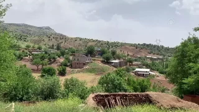 Toprağa gömülü kafatası ve insan kemikleri bulundu Toprağa gömülü kafatası ve insan kemikleri bulundu
