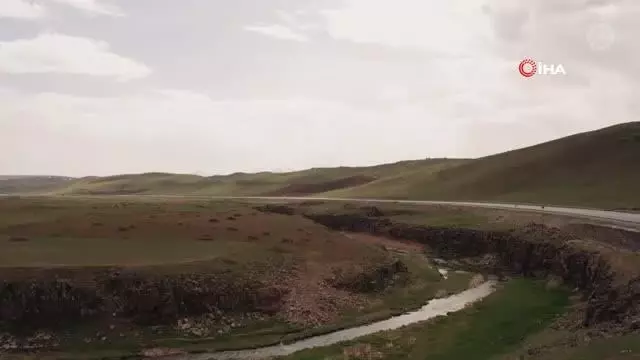 85 yaşındaki Vanlı Adıgüzel'in 'aşı hikayesi' film oldu 85 yaşındaki Vanlı Adıgüzel'in 'aşı hikayesi' film oldu
