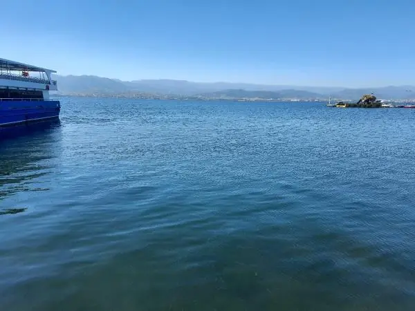 Deniz salyalarının toplandığı İzmit Körfezi, eski haline dönüyor Deniz salyalarının toplandığı İzmit Körfezi, eski haline dönüyor