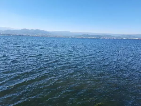 Deniz salyalarının toplandığı İzmit Körfezi, eski haline dönüyor Deniz salyalarının toplandığı İzmit Körfezi, eski haline dönüyor