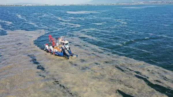 Deniz salyalarının toplandığı İzmit Körfezi, eski haline dönüyor Deniz salyalarının toplandığı İzmit Körfezi, eski haline dönüyor